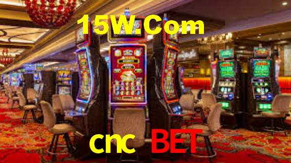 Apostas com odds competitivas na cnc bet